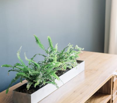 home-staging_62